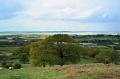 NZ Bank towards Sheppey 02